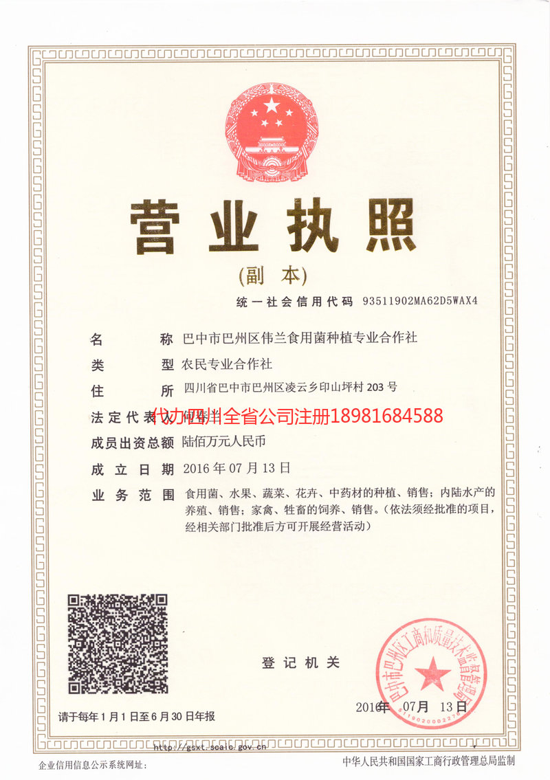 遵义遵义伟兰食用菌种植专业合作社